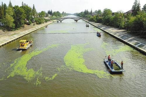 河道保潔 河道保潔