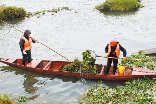 河道清理 河道清理