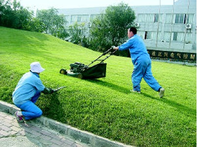 園林綠化養(yǎng)護(hù) 園林綠化養(yǎng)護(hù)