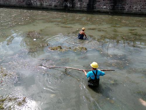河道清理是為了優(yōu)化水域生態(tài)環(huán)境 河道清理是為了優(yōu)化水域生態(tài)環(huán)境