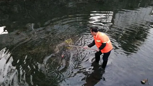 河道保潔:水域保潔都有什么要求呢 河道保潔:水域保潔都有什么要求呢