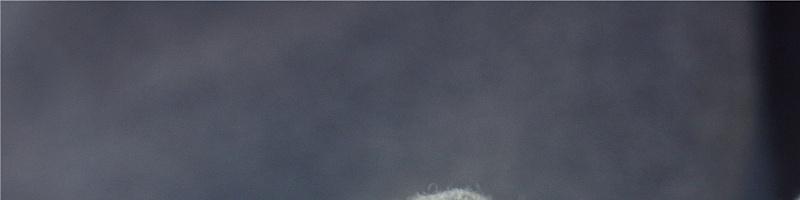 新款衛衣的價格是多少啊